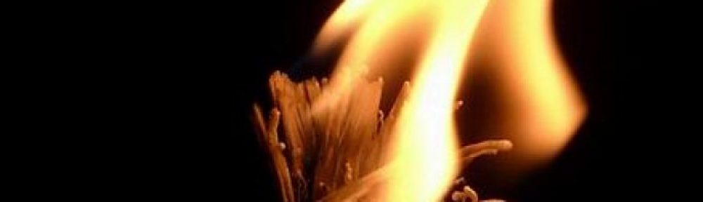 Ada Lamar's Portfolio